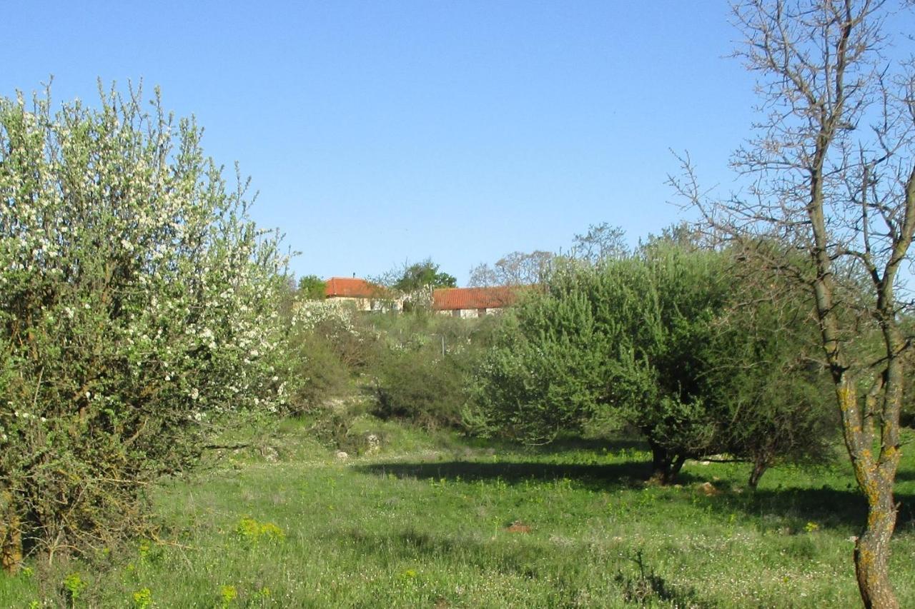 Stone House In A Quiet Landscape, Leonidion Villa Exterior photo